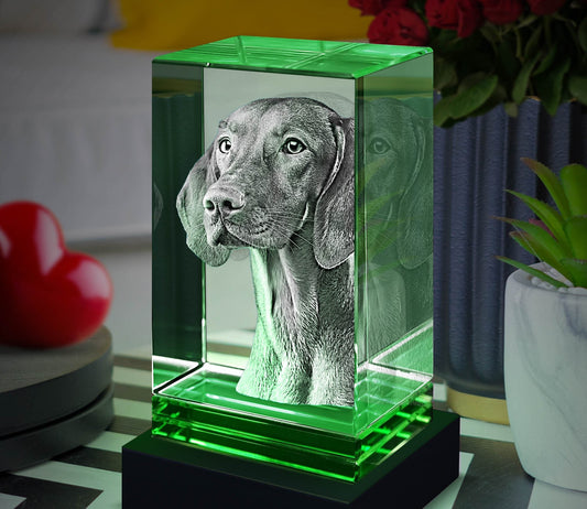 custom laser engraved 3d crystal green skirt