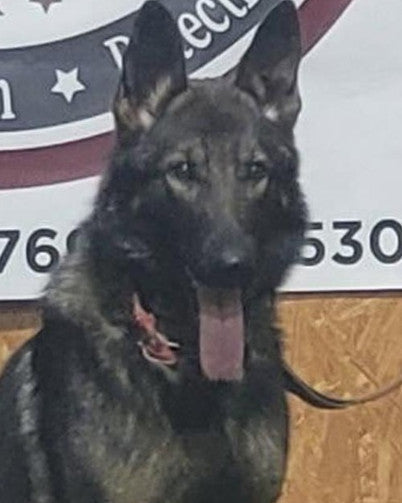 K9 Farock - Fairfield Police Department - Texas