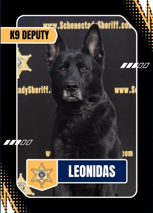 K9 Leonidas - Schenectady County Sheriff's Office - New York