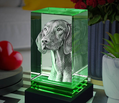 custom laser engraved 3d crystal green skirt