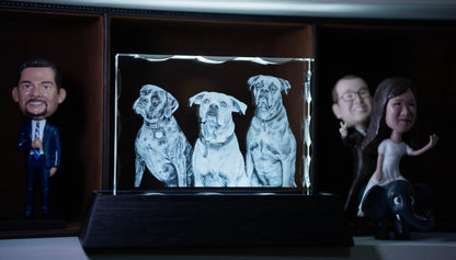 custom laser engraved 3d notched rectangle crystal 